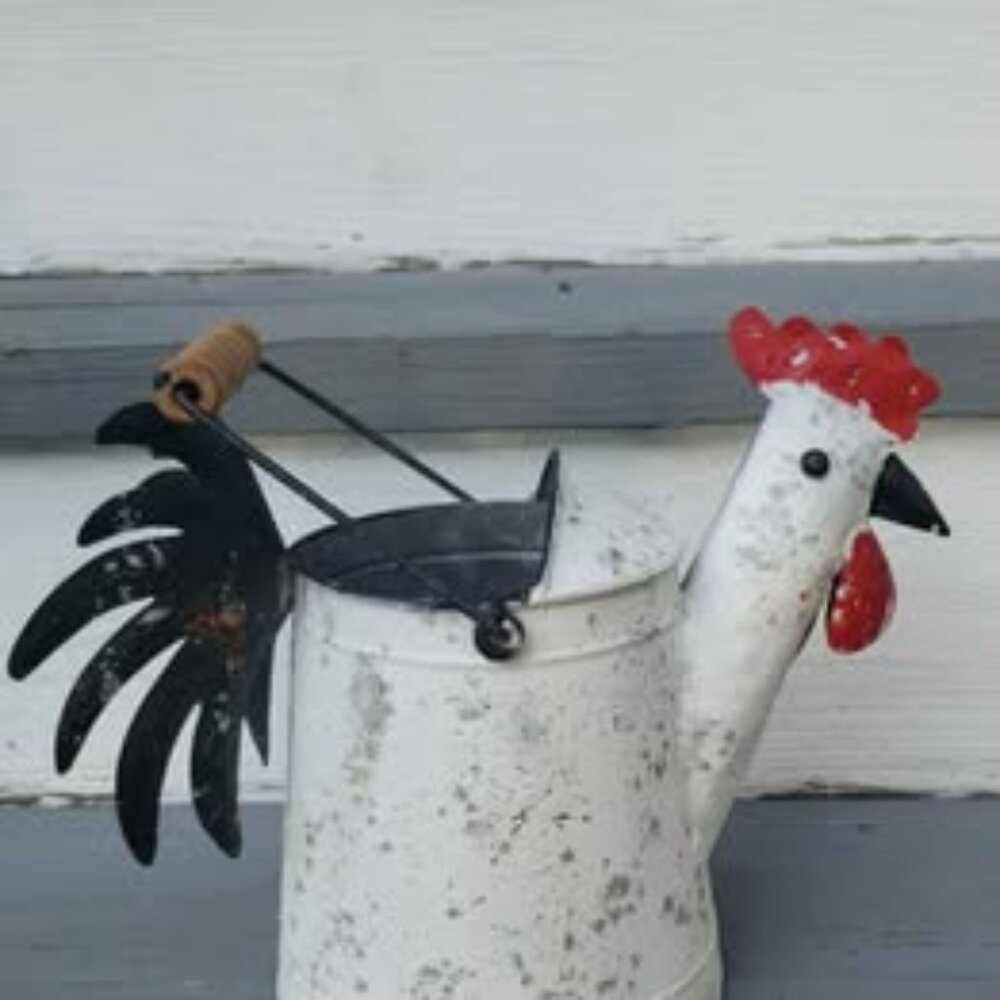Rooster Chicken Bucket Container Planter Vase Painted Metal Farmhouse Country